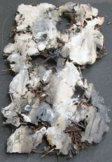 Abb. 1: Plastik nach der Restaurierung